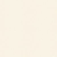 Обои Andrea Rossi Spectrum Винил на флизелине (1,06*10,05) Бежевый, Однотонные арт-54333-14 — фото 1, Обои для стен