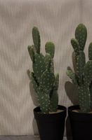 Обои Hohenberger Aquea арт-64079 — фото 2, Обои