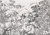 Обои Coordonne Metamorphosis арт-8800152 — фото 1, Обои