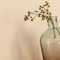 Обои Caselio Natte арт-101562320 — фото 2, Обои для стен