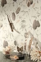 Обои Khroma Cabinet Of Curiosities арт-CAB601 — фото 5, Обои