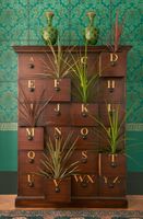 Обои Cole & Son Mariinsky Damask арт-108-4017 — фото 4, Обои