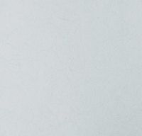 Товар: Обои Bernardo Bartalucci Legend Флизелин (1,06*10) Серый, Однотонные арт-5068-84 - фото 1 Обои Bernardo Bartalucci Legend Флизелин (1,06*10) Серый, Однотонные арт-5068-84 — фото 1, Обои