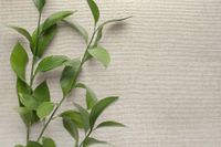 Обои Carl Robinson Edition 20 арт-CL50054 — фото 2, Обои