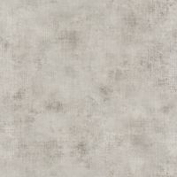 Товар: Обои Caselio Telas Винил на флизелине (0,53*10,05) Серый, Штукатурка арт-69879420 - фото 1 Обои Caselio Telas Винил на флизелине (0,53*10,05) Серый, Штукатурка арт-69879420 — фото 1, Обои для стен