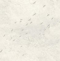 Обои Mayflower Transition арт-FJ31005 — фото 1, Обои