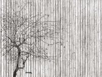 Фрески Affresco Re-Space арт-IV109-COL1 — фото 1, Фрески