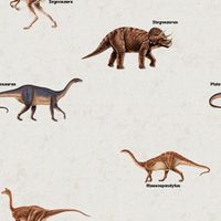 Обои Aura Forever Young арт-H2912501 — фото 1, Обои