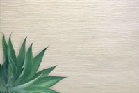 Обои Carl Robinson Edition 20 арт-CL50040 — фото 2, Обои