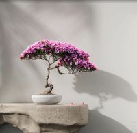 Обои Loymina Materials Lotus арт-LOT1-015 — фото 4, Обои