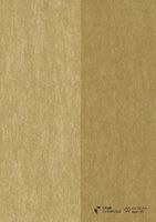 Обои Carlucci di Chivasso Curious арт-CA9089-040 — фото 1, Обои