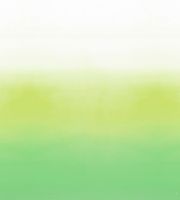 Обои Designers Guild Mandora арт-PDG1059-02 — фото 1, Обои