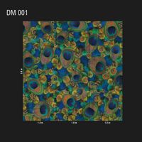 Обои Loymina Illusion арт-DM-001 — фото 2, Обои