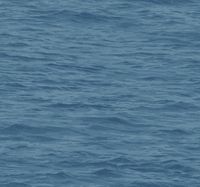 Обои Wallquest Yacht Club арт-YC61712 — фото 1, Обои