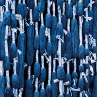 Обои Casadeco Ginkgo арт-86276574 — фото 1, Обои для стен