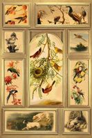 Обои Loymina Illusion vol. II арт-DC047 — фото 1, Обои