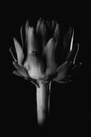 Фрески Wall Street Фрески арт-21566 — фото 1, Фрески