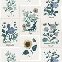 Обои York Rifle Paper Co. Second Edition арт-RP7335 — фото 1, Обои