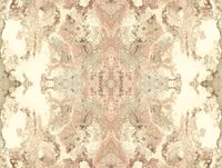 Товар: Обои York Candiсe Olson Botanical Dreams арт-NA0595 - фото 1 Обои York Candiсe Olson Botanical Dreams арт-NA0595 — фото 1, Обои