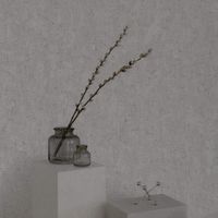 Обои Andrea Rossi Berggi арт-54442-6 — фото 3, Обои