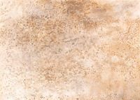 Обои Emil&Hugo Moana арт-301105 — фото 1, Обои