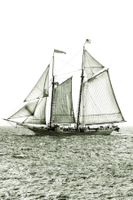 Обои Seabrook The Avenues арт-CT42100M — фото 1, Обои