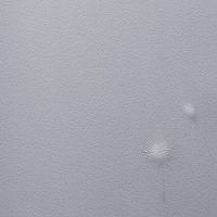 Обои Andrea Rossi Gavi Винил на флизелине (1,06*10) Серый, Листья/Цветы арт-54368-5 — фото 1, Обои для стен