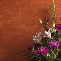 Товар: Обои Jab Dolce Vita арт-4-4085-080 - фото 2 Обои Jab Dolce Vita арт-4-4085-080 — фото 2, Обои