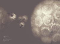 Фрески Applico Four арт-0051-S1 — фото 2, Фрески