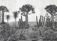 Обои Coordonne Random Chinoiseries арт-7900142 — фото 1, Обои