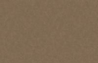 Обои WallTrend Art of Colors арт-CEL22010 — фото 1, Обои