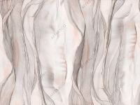 Фрески Affresco Fluid арт-AF2070-COL5 — фото 1, Фрески