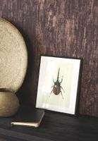 Обои Casadeco Kyoto арт-81681422 — фото 2, Обои для стен