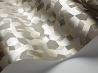 Обои Cole & Son Curio арт-107-5025 — фото 2, Обои