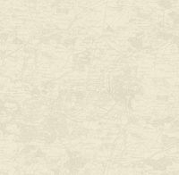 Товар: Обои Aura Forever Young арт-H2910302 - фото 1 Обои Aura Forever Young арт-H2910302 — фото 1, Обои