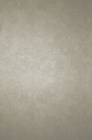 Обои Osborne & Little Argentario арт-W6303-02 — фото 1, Обои