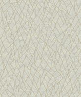 Обои Architector Evolve арт-EV01121 — фото 1, Обои