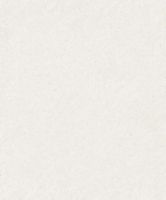 Обои Trendsetter Walter арт-WA2401 — фото 1, Обои