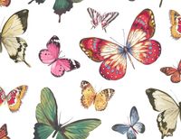 Обои Jaima Brown Chelsea Lane арт-JB60300 — фото 1, Обои