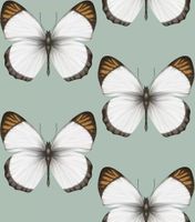 Обои Andrea Rossi Cheradi Винил на флизелине (1,06*10,05) Бирюзовый, Бабочки арт-54401-4 — фото 1, Обои для стен