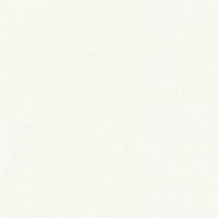 Обои AS Creation Original View Винил на флизелине (0,53*10,05) Белый, Штукатурка/Однотонные арт-35866-3 — фото 1, Обои