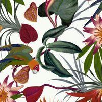 Товар: Обои Aura Lost Island арт-108601 - фото 1 Обои Aura Lost Island арт-108601 — фото 1, Обои