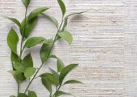 Обои Carl Robinson Edition 20 арт-CL50002 — фото 2, Обои