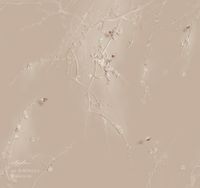 Фрески Applico Barelief Line арт-B0074-GL2 — фото 1, Фрески