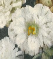 Товар: Обои Black Edition Herbaria арт-W912-02 - фото 1 Обои Black Edition Herbaria арт-W912-02 — фото 1, Обои