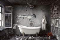 Обои Mayflower Aerial арт-WMAFJ000214 — фото 3, Обои