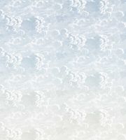 Обои Cole & Son Fornasetti арт-114-3006 — фото 1, Обои