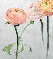 Товар: Обои Designers Guild Foscari Fresco арт-PDG1099-01 - фото 1 Обои Designers Guild Foscari Fresco арт-PDG1099-01 — фото 1, Обои