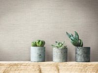 Обои York Simply Farmhouse арт-FH4059 — фото 3, Обои