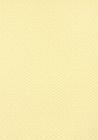 Обои Thibaut Pavilion арт-T13366 — фото 1, Обои